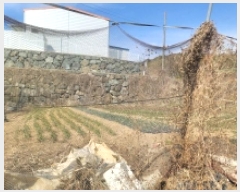  2025Ÿ20262 泲 뿵 볲  817-2      (1)