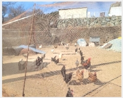  2025Ÿ20262 泲 뿵 볲  817-2      (1)