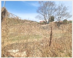  2025Ÿ20262 泲 뿵 볲  817-2      (1)