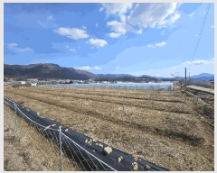  2025Ÿ��20415  ����