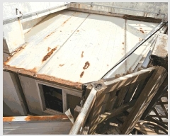  2025Ÿ20982 泲  θ  74-1      ܵ,ð