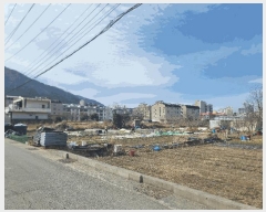  2025Ÿ20990 泲   334       ()