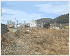  2025Ÿ20990 泲   334       ()