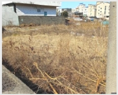  2025Ÿ20990 泲   334       ()