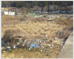  2025Ÿ20990 泲   334       ()