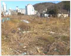  2025Ÿ20990 泲   334       ()