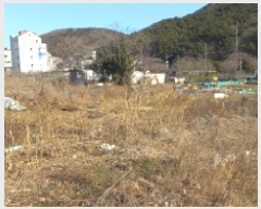  2025Ÿ20990 泲   334       ()