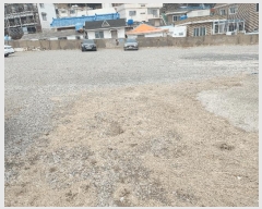  2025Ÿ��21015 �泲 ������ �Ͽ�� ������ 66-4      ����(����)���