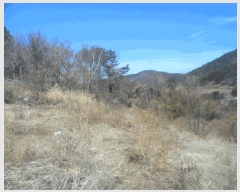  2025Ÿ��21022 �泲 �뿵�� �򸲵� 361-2       ����(��1)���