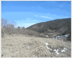  2025Ÿ��21022 �泲 �뿵�� �򸲵� 225-2       ����(��1)���