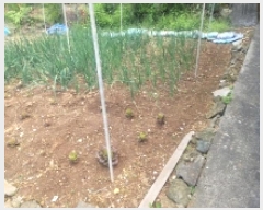  2025Ÿ��21022 �泲 �뿵�� �򸲵� 225-2       ����(��1)���