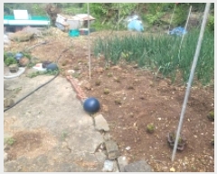  2025Ÿ��21022 �泲 �뿵�� �򸲵� 225-2       ����(��1)���