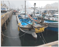  2025Ÿ21224 泲 뿵  뿵       ڰ