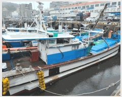  2025Ÿ21224 泲 뿵  뿵       ڰ