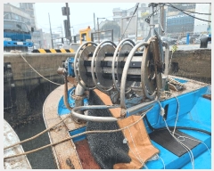  2025Ÿ21224 泲 뿵  뿵       ڰ