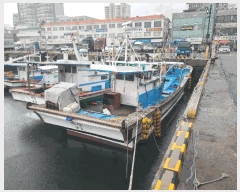  2025Ÿ21224 泲 뿵  뿵       ڰ