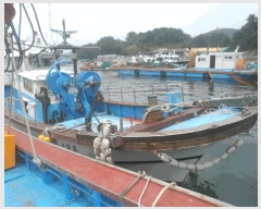  2025Ÿ��21434 �泲 �뿵�� ������ ������       ���ڰ��