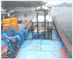  2025Ÿ��21434 �泲 �뿵�� ������ ������       ���ڰ��