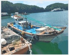  2025Ÿ21726 ѻ ׵         ڰ