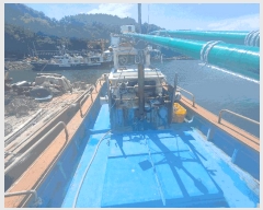  2025Ÿ21726 ѻ ׵         ڰ