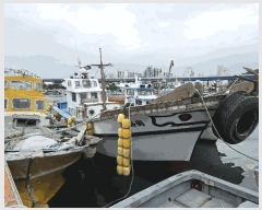  2025Ÿ21912 泲 뿵  ȭ ȭ      ڰ