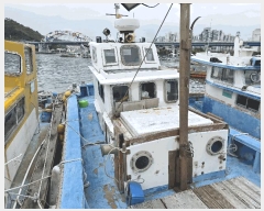  2025Ÿ21912 泲 뿵  ȭ ȭ      ڰ