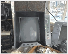  2025Ÿ21912 泲 뿵  ȭ ȭ      ڰ