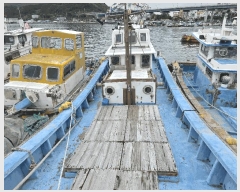  2025Ÿ21912 泲 뿵  ȭ ȭ      ڰ