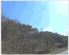  2025Ÿ��32 �泲 â�籺 ����� ��븮 396-3      ����(�Ӿ�)���