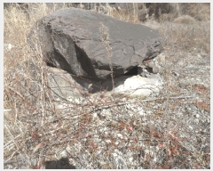  2025Ÿ��32 �泲 â�籺 ����� ��븮 396-3      ����(�Ӿ�)���