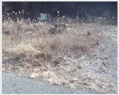  2025Ÿ��32 �泲 â�籺 ����� ��븮 396-3      ����(�Ӿ�)���