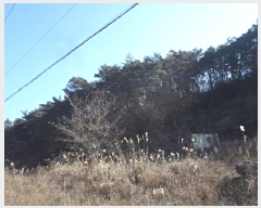  2025Ÿ��32 �泲 â�籺 ����� ��븮 396-3      ����(�Ӿ�)���