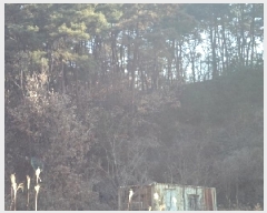  2025Ÿ��32 �泲 â�籺 ����� ��븮 396-3      ����(�Ӿ�)���