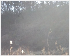  2025Ÿ��32 �泲 â�籺 ����� ��븮 396-3      ����(�Ӿ�)���