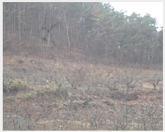  2025Ÿ��186 �泲 �о�� ���ȸ� ���� 190-2      ����(������)���