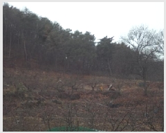  2025Ÿ��186 �泲 �о�� ���ȸ� ���� 190-2      ����(������)���