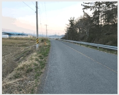  2025Ÿ278 泲 â籺 輺 긮 516-2      ()