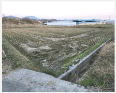  2025Ÿ278 泲 â籺 輺 긮 516-2      ()