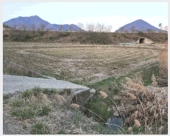  2025Ÿ278 泲 â籺 輺 긮 516-2      ()