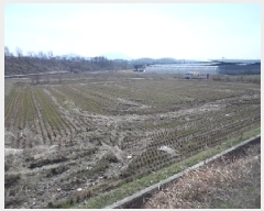  2025Ÿ278 泲 â籺 輺 긮 516-2      ()