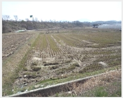  2025Ÿ278 泲 â籺 輺 긮 516-2      ()