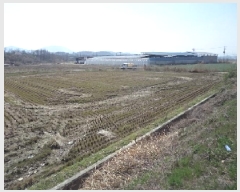  2025Ÿ278 泲 â籺 輺 긮 516-2      ()