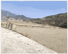  2025Ÿ339 泲 о û λ긮 191      ()