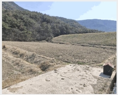  2025Ÿ339 泲 о û λ긮 191      ()