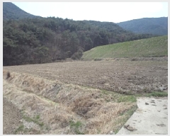  2025Ÿ339 泲 о û λ긮 191      ()