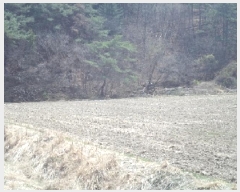  2025Ÿ339 泲 о û λ긮 191      ()