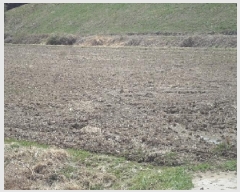  2025Ÿ339 泲 о û λ긮 191      ()