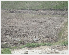  2025Ÿ339 泲 о û λ긮 191      ()