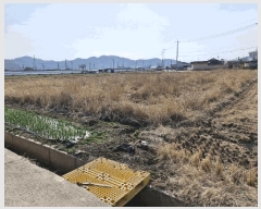  2025Ÿ��391 �泲 â�籺 ������ ���긮 795-3      ����(��)���