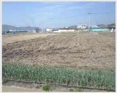  2025Ÿ��391 �泲 â�籺 ������ ���긮 795-3      ����(��)���